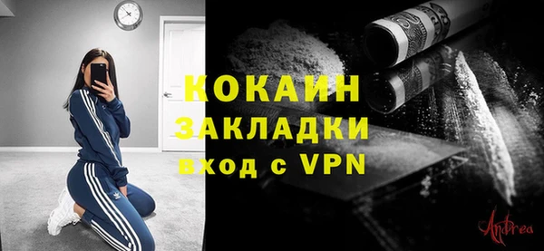 спиды Каменногорск