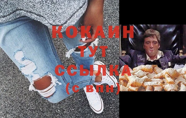 спиды Каменногорск