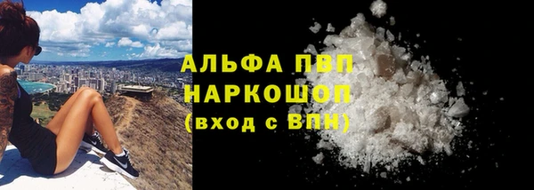 спиды Каменногорск