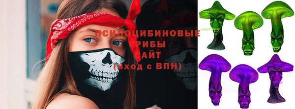 apvp Каменка