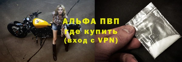 спиды Каменногорск