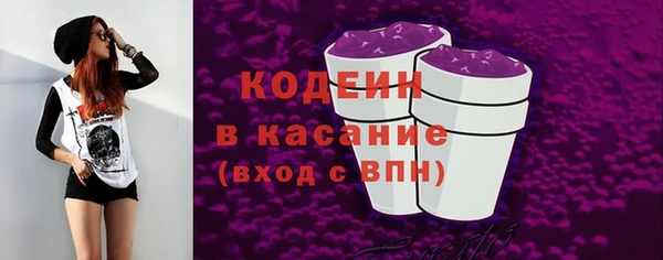 apvp Каменка