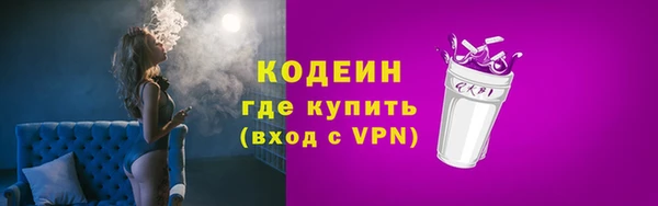apvp Каменка