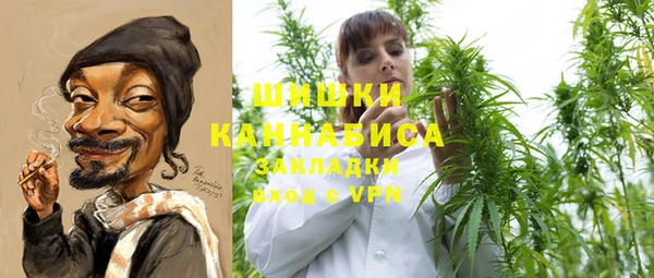 apvp Каменка