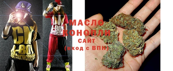 apvp Каменка