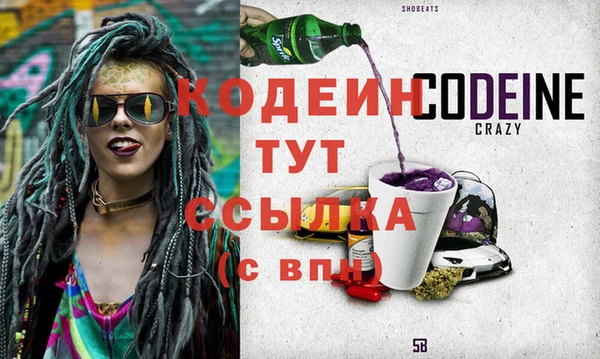 apvp Каменка