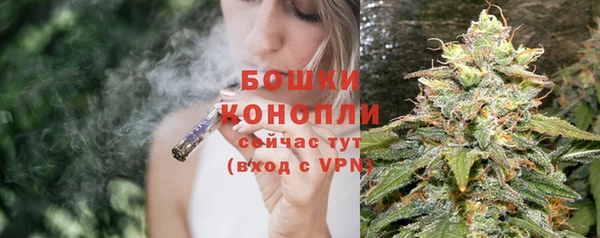 спиды Каменногорск