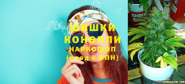 apvp Каменка