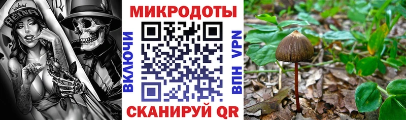 Купить Собинка Псилоцибиновые грибы Magic Shrooms